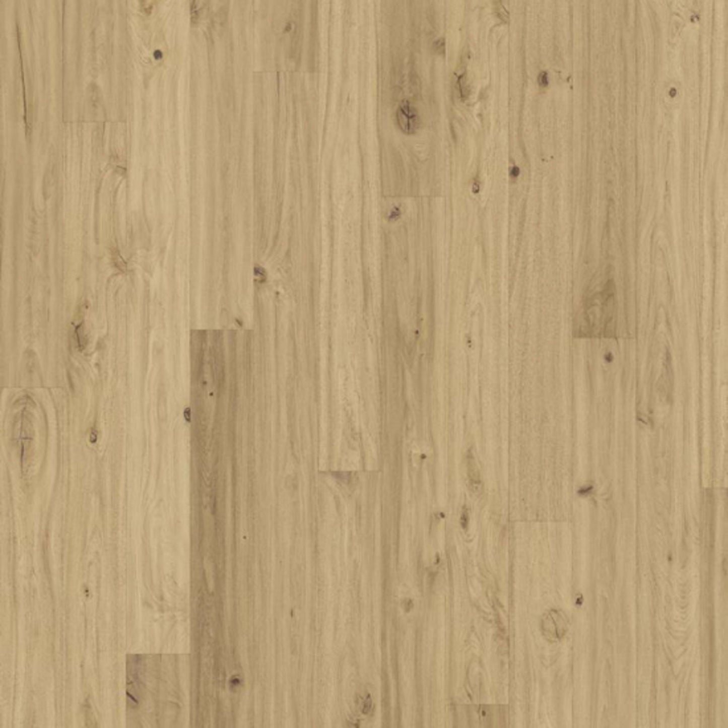 Småland Collection in Oak Klinta