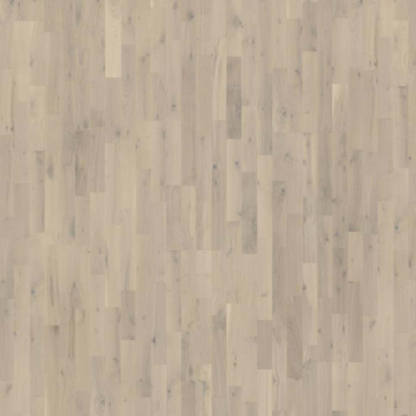 Beyond Retro Collection in Loft White Strip