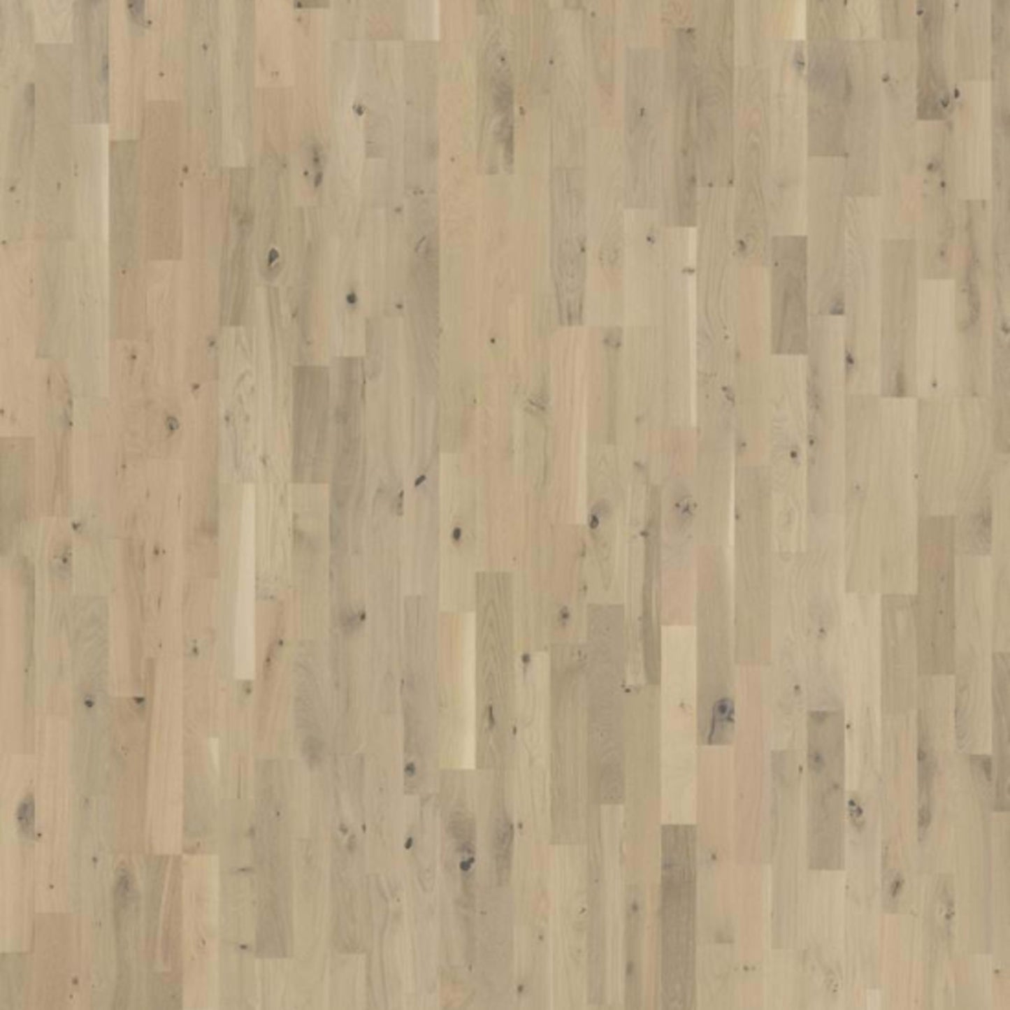 Beyond Retro Collection in Frosted Oat Strip