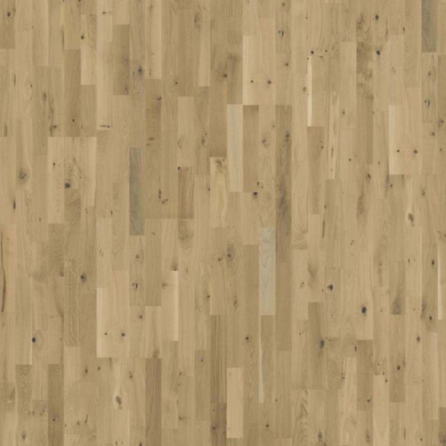 Beyond Retro Collection in Urban Brown Strip