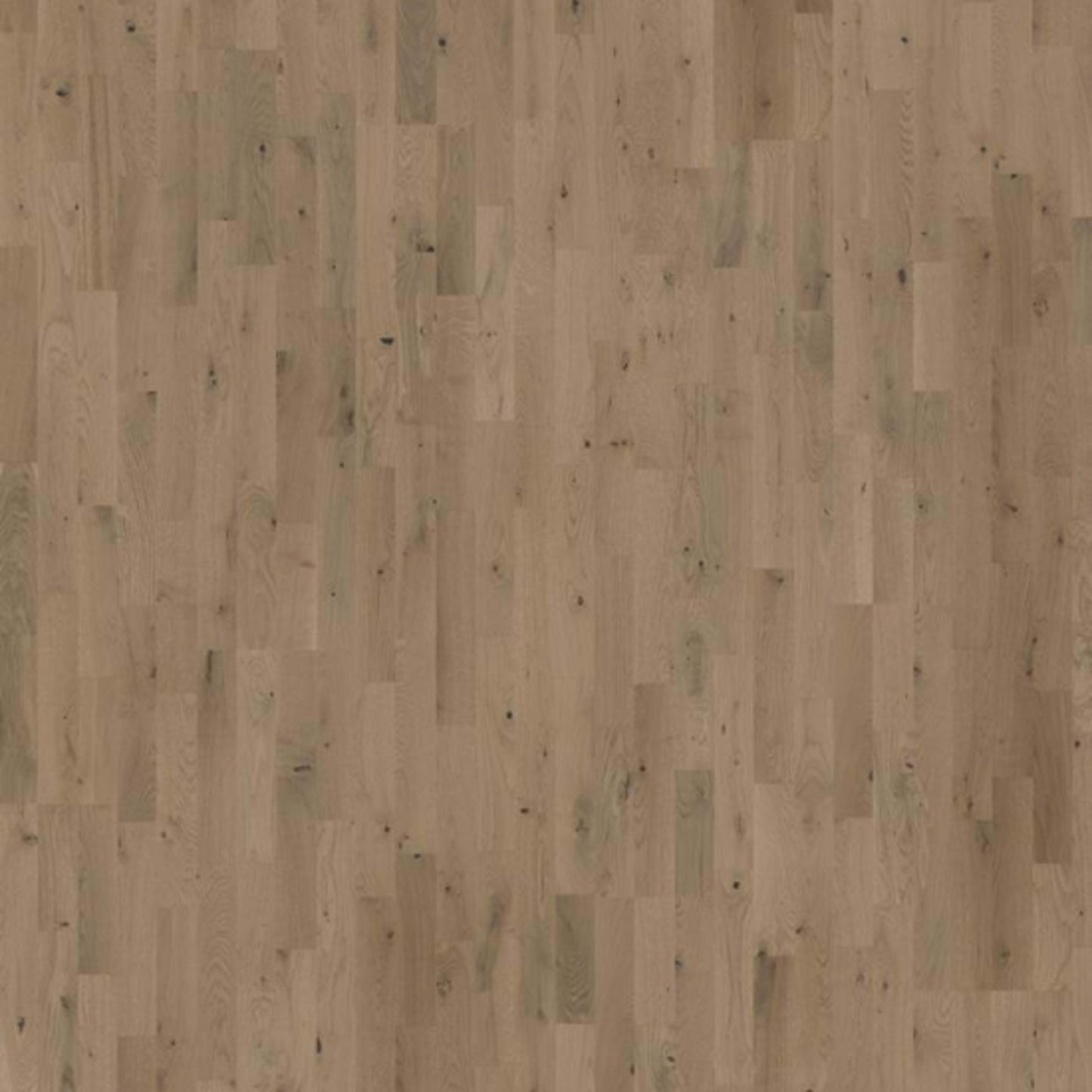 Beyond Retro Collection in Frozen Hazelnut Strip