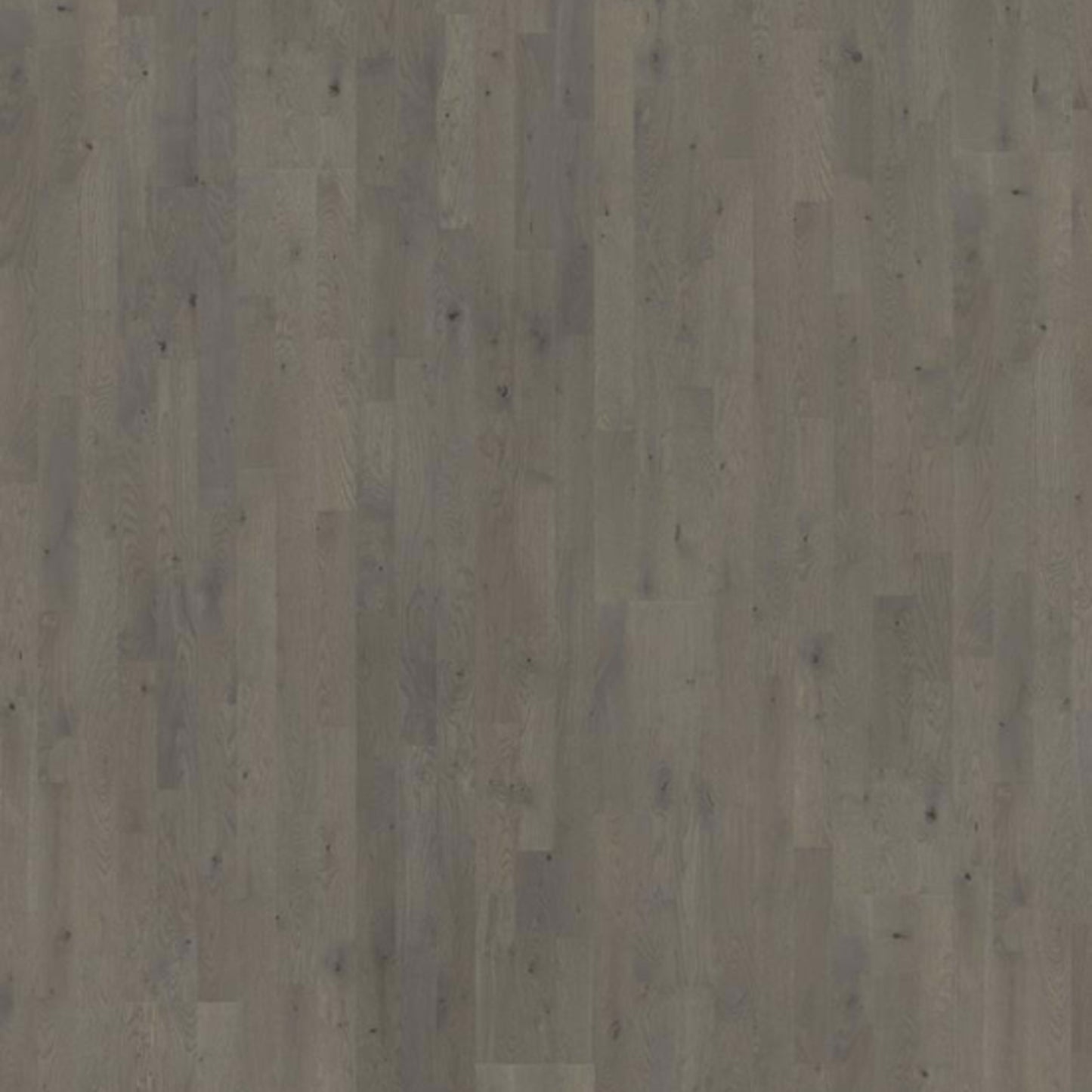 Beyond Retro Collection in Pearl Grey Strip