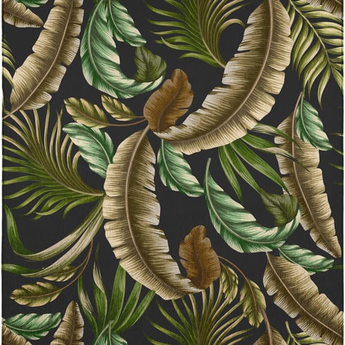 Tropics-Black-TC1 in Black