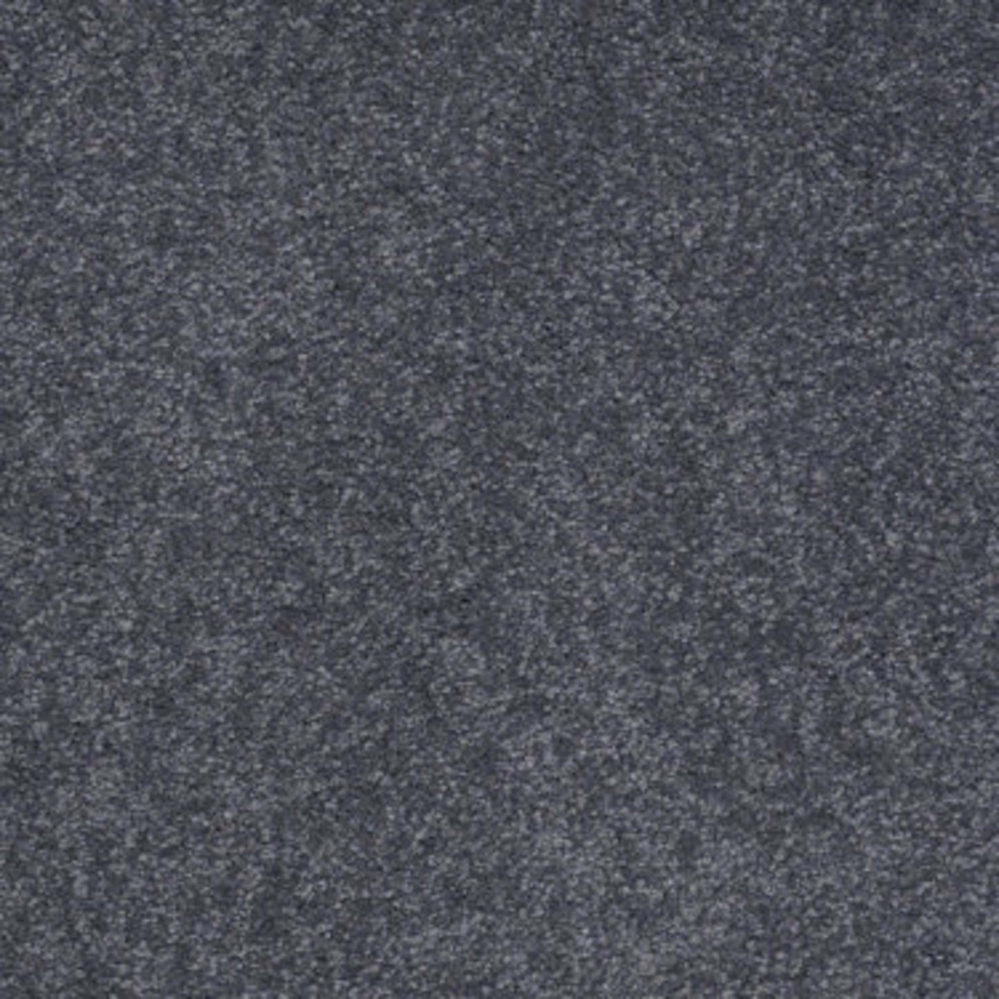 Ultimate Expression 12' in Cadet Carpet