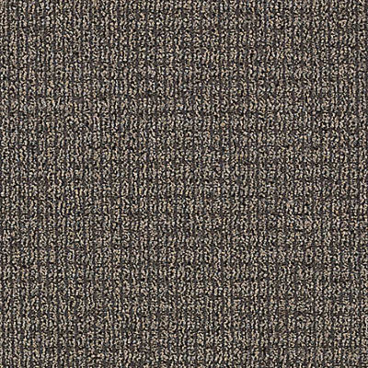 Real Elements in Tinted Gray Carpet