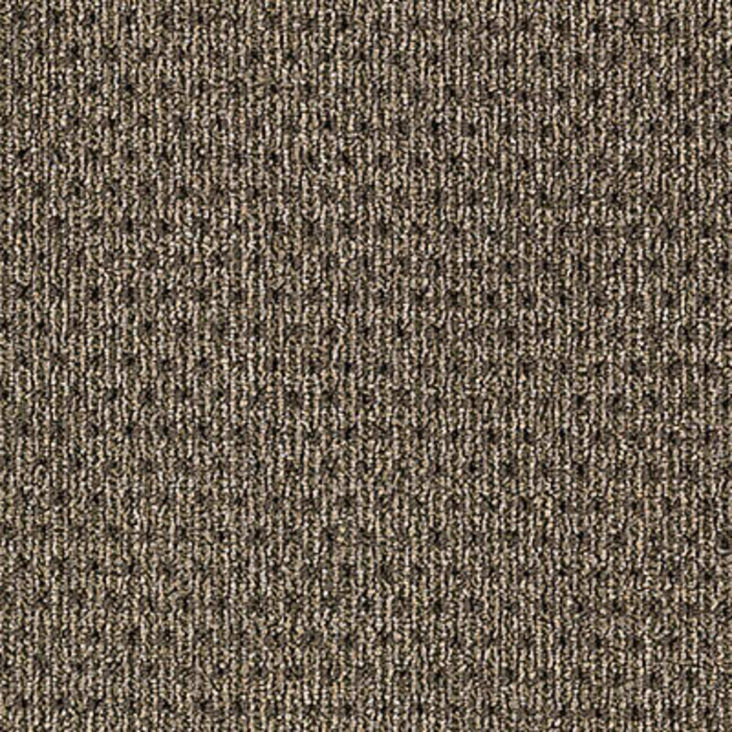 True Form in Tactile Taupe Carpet