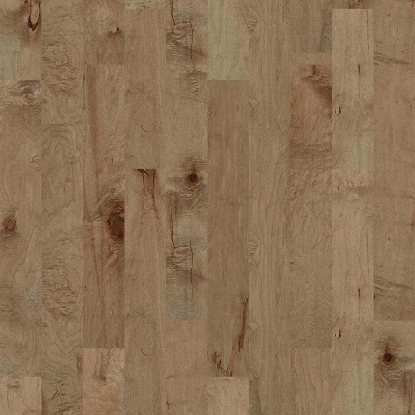 MENDOCINO in Gold Dust Hardwood