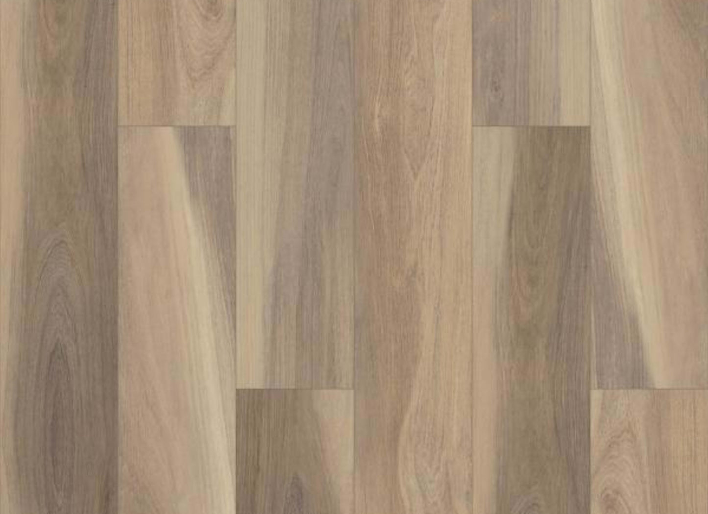 INTREPID HD PLUS in Shawshank Oak