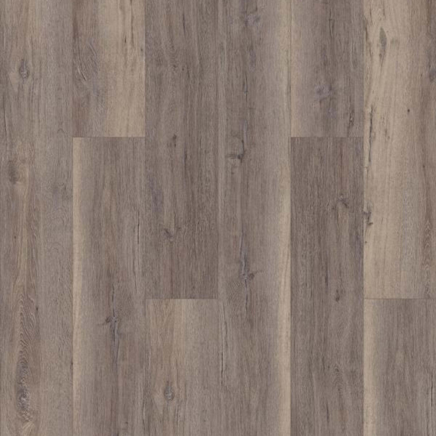 INTREPID HD PLUS in Silver Oak Luxury Vinyl