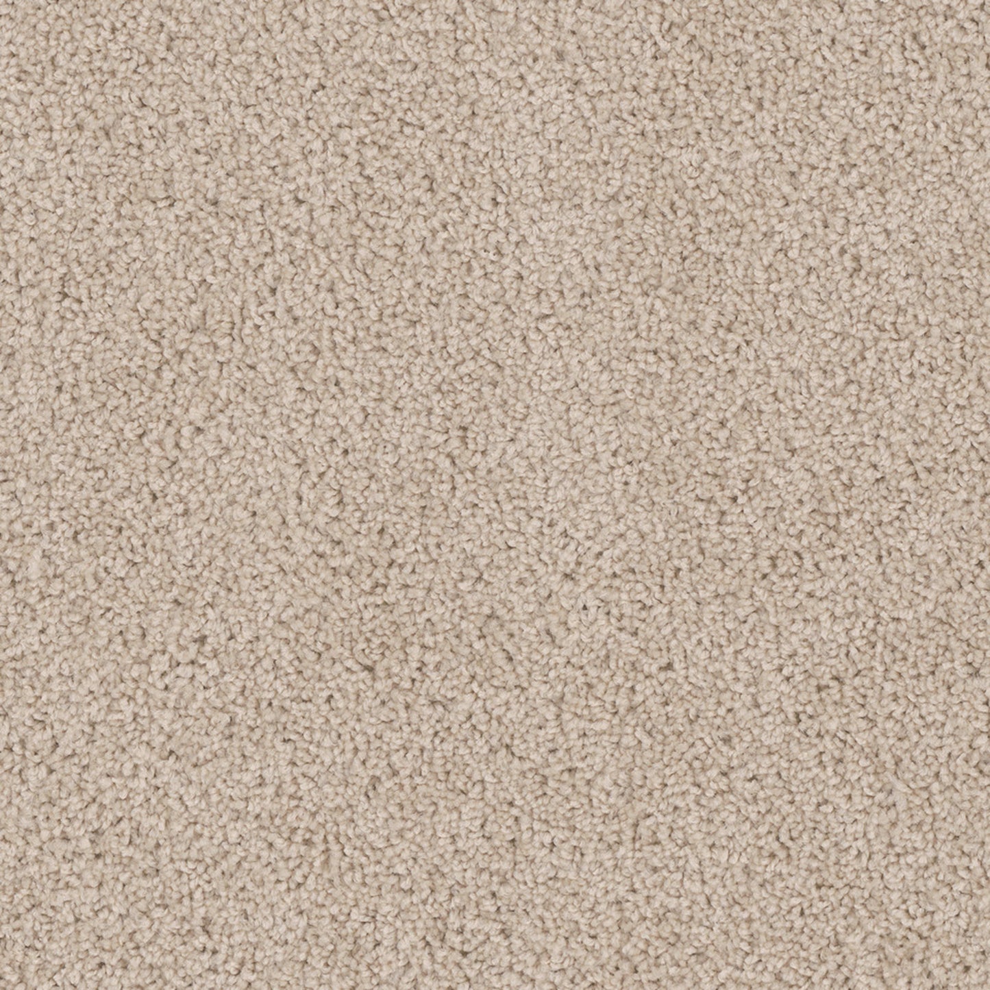 Cedar Creek in Eggshell Carpet