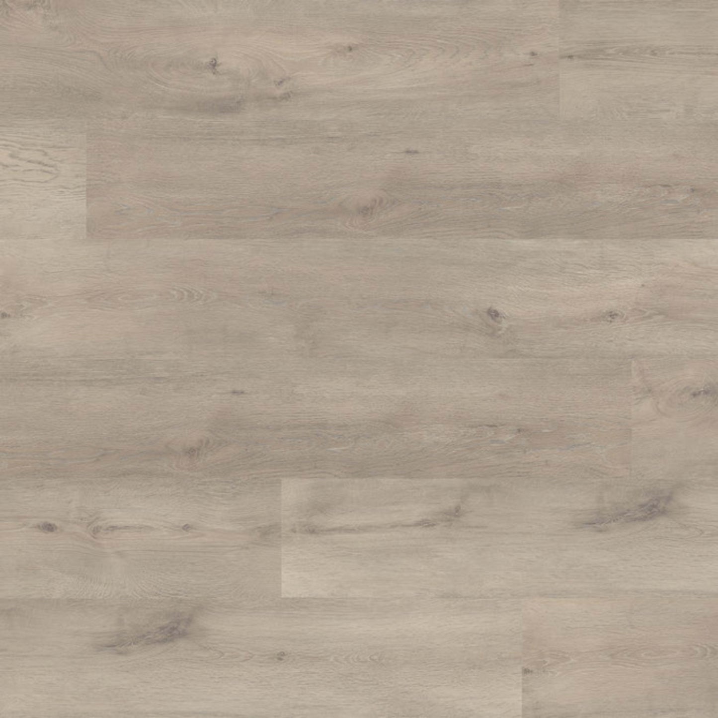 TimbrCORE -Alpine Collection in Beaver Creek Laminate