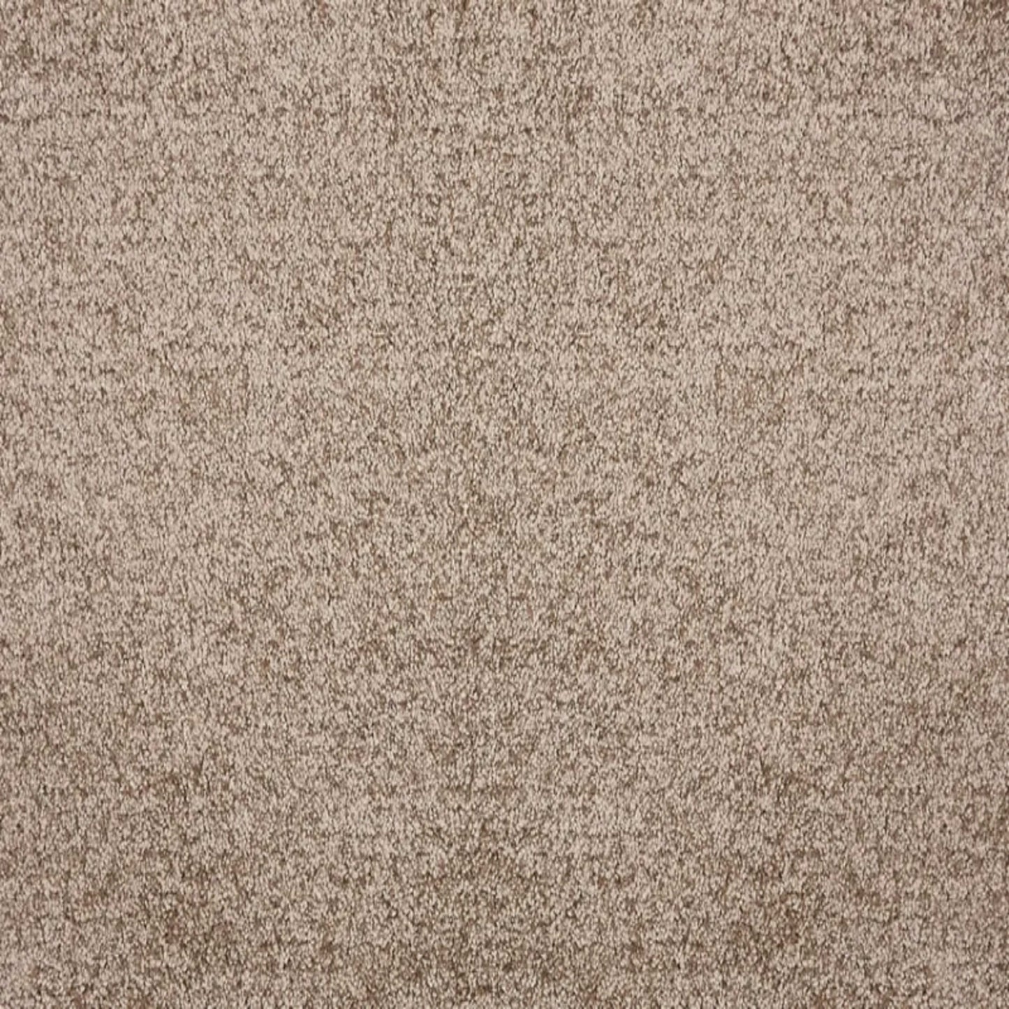 Noble in Caramel Carpet