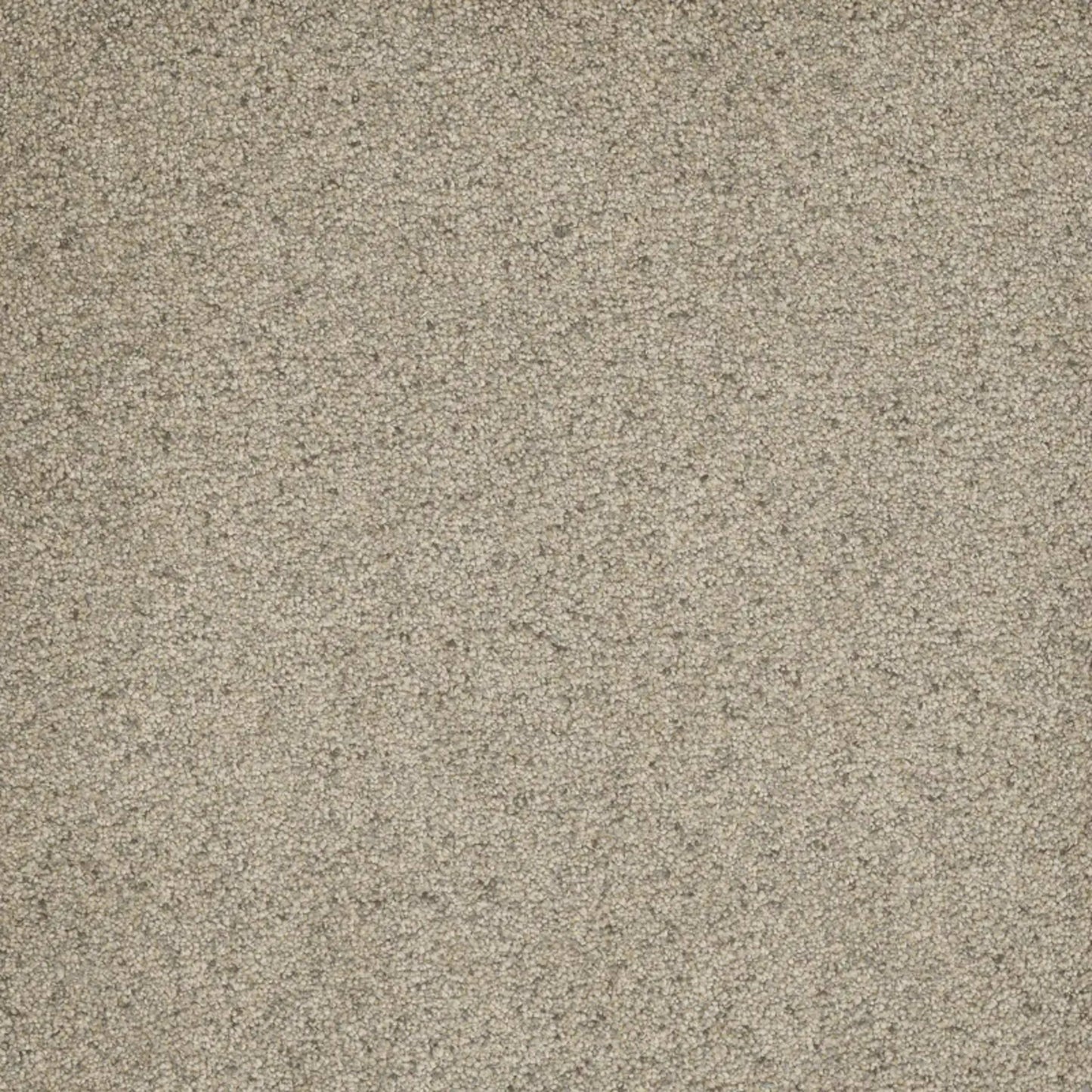 Astounding III in Pacific Breeze Carpet