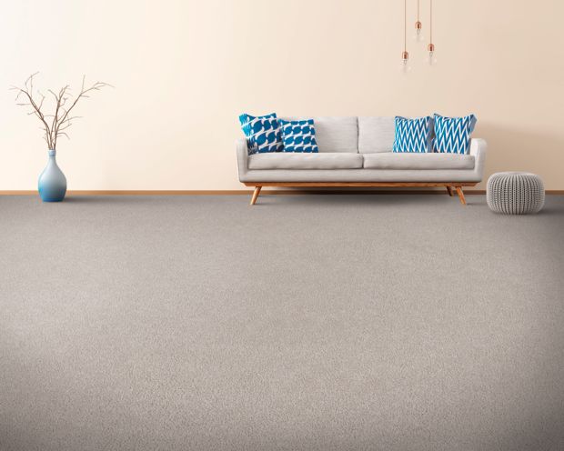 Eloquent Color in Ice Grey