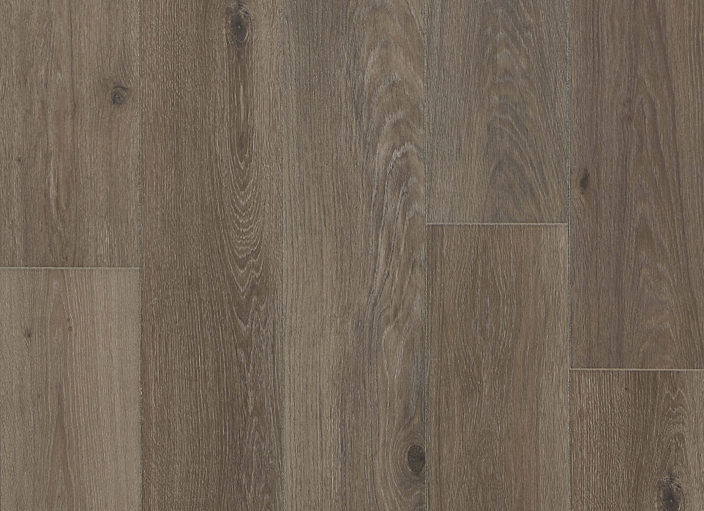 Restoration Collection - Haven in Coffee