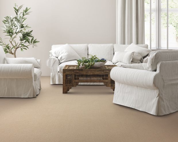 Dazzling Options in Highgate