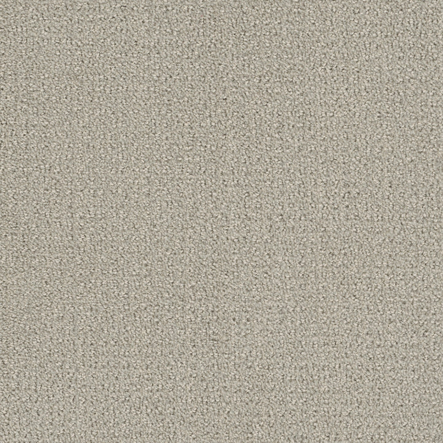 Pinpoint in Snow Cap Carpet