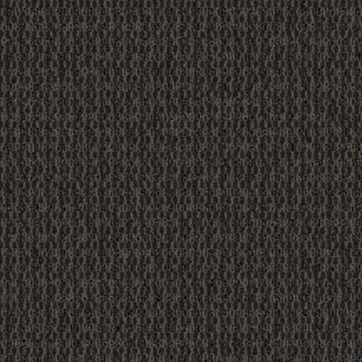 Implore in Specify Carpet Tile