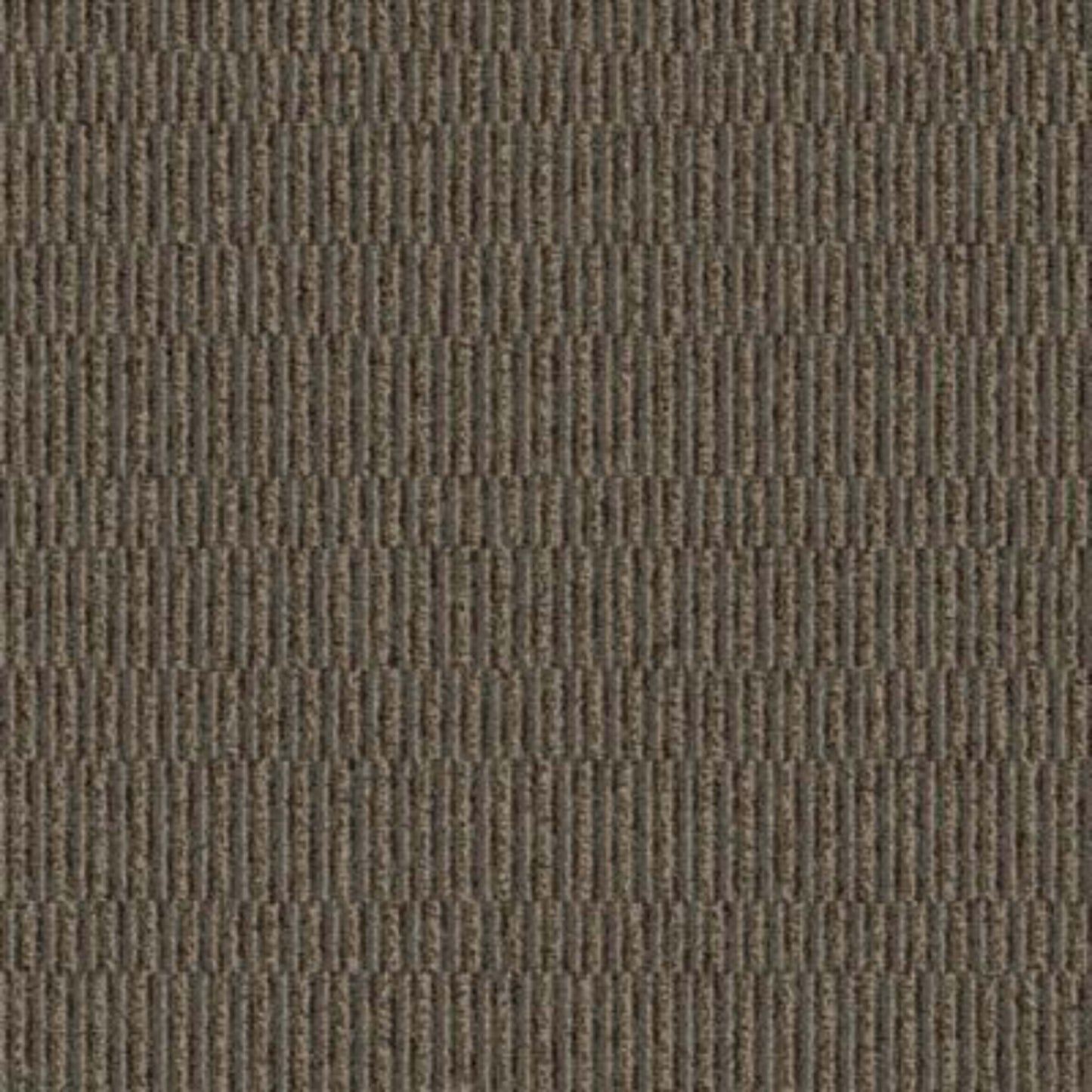 Compel in Describe Carpet Tile