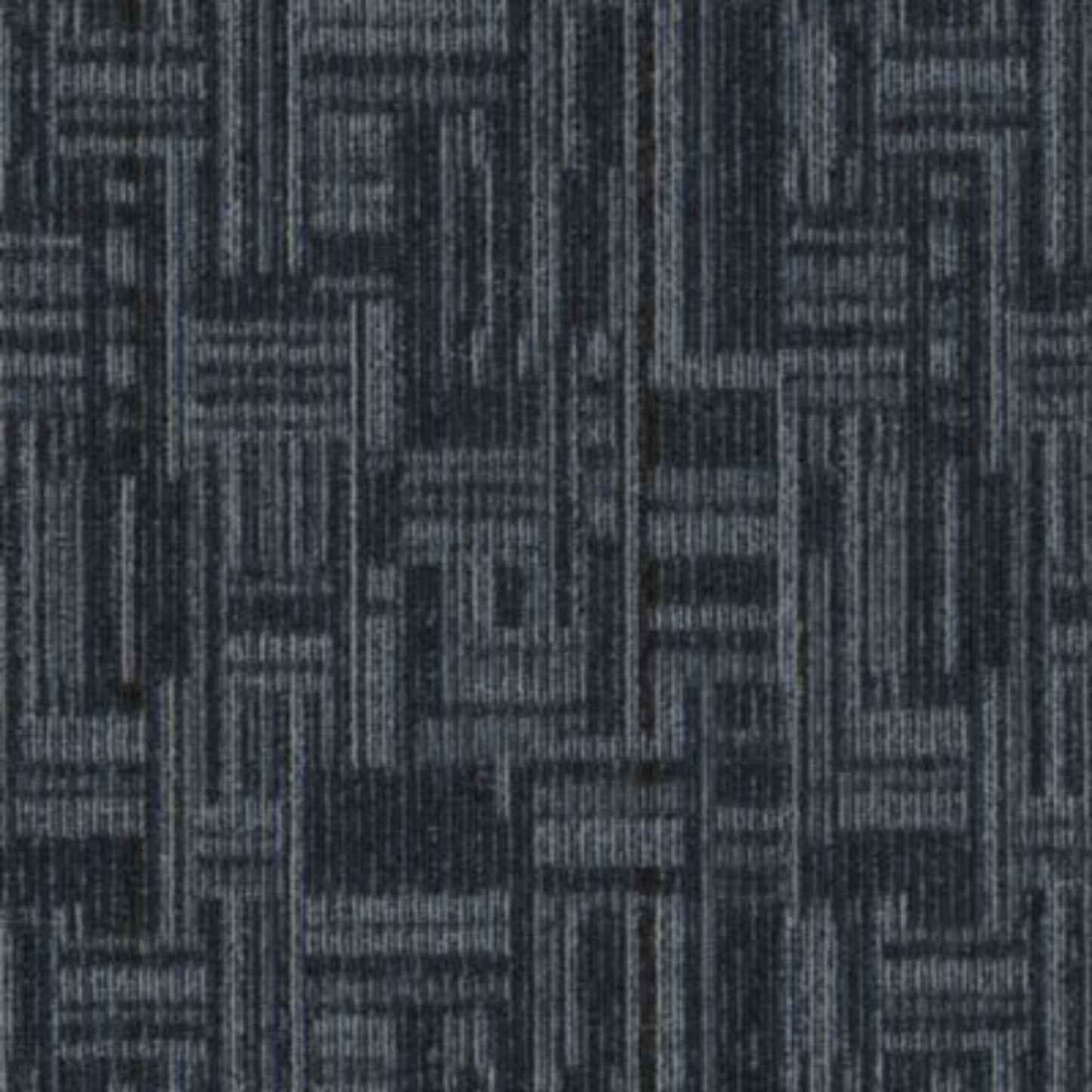Daily Wire in Trending Now Carpet Tile