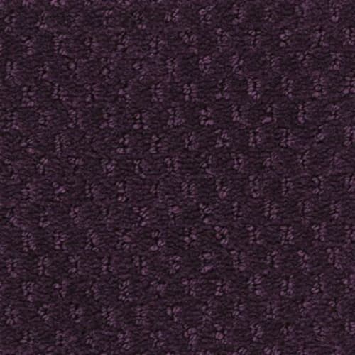 Influencer 36 in Vintage Velvet