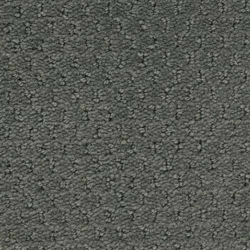 Influencer 36 in Pewter Grey