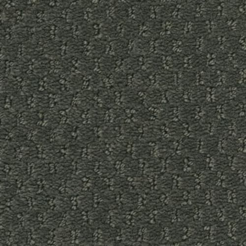 Influencer 36 in Rich Titanium