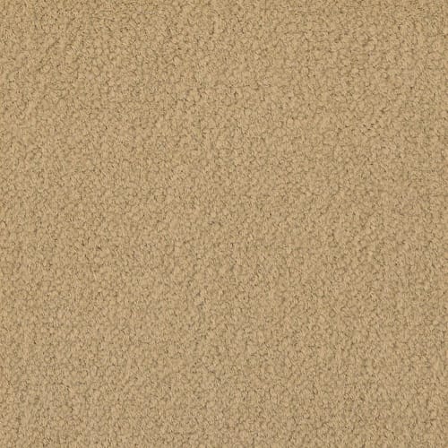 Influencer 36 in Adobe Sand