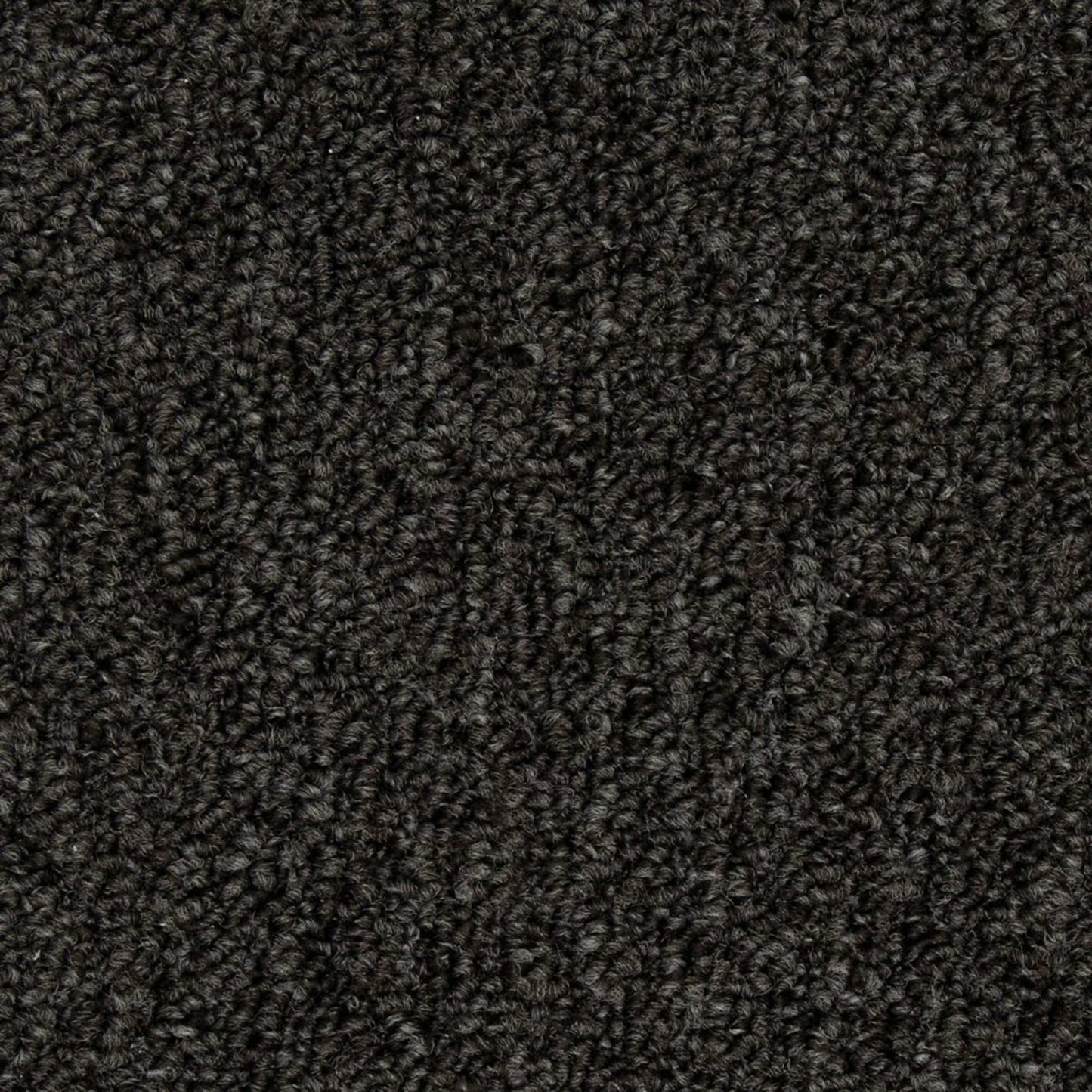 Front & Center in Charcoal Carpet