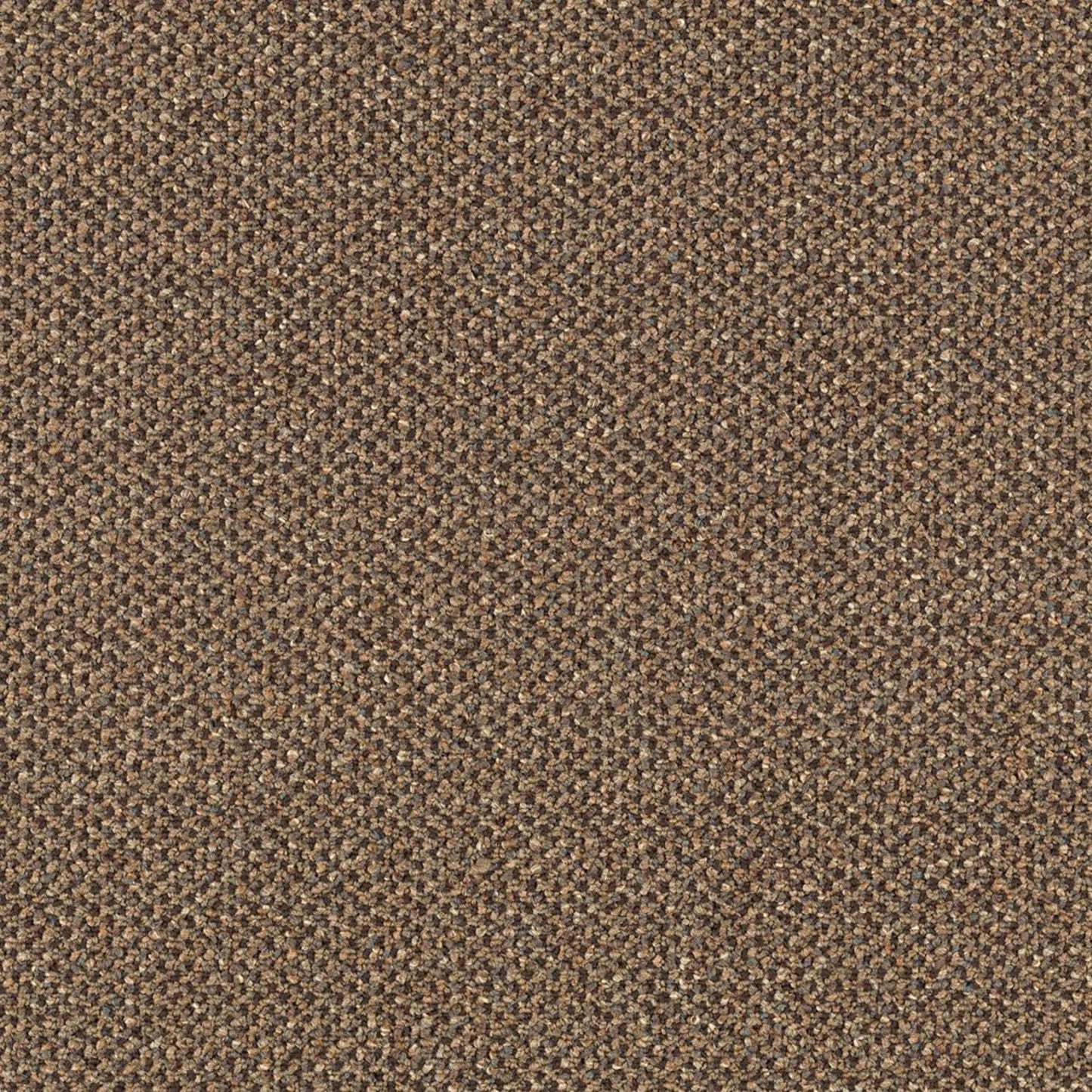 Pure & Simple in Collective Wisdom Carpet