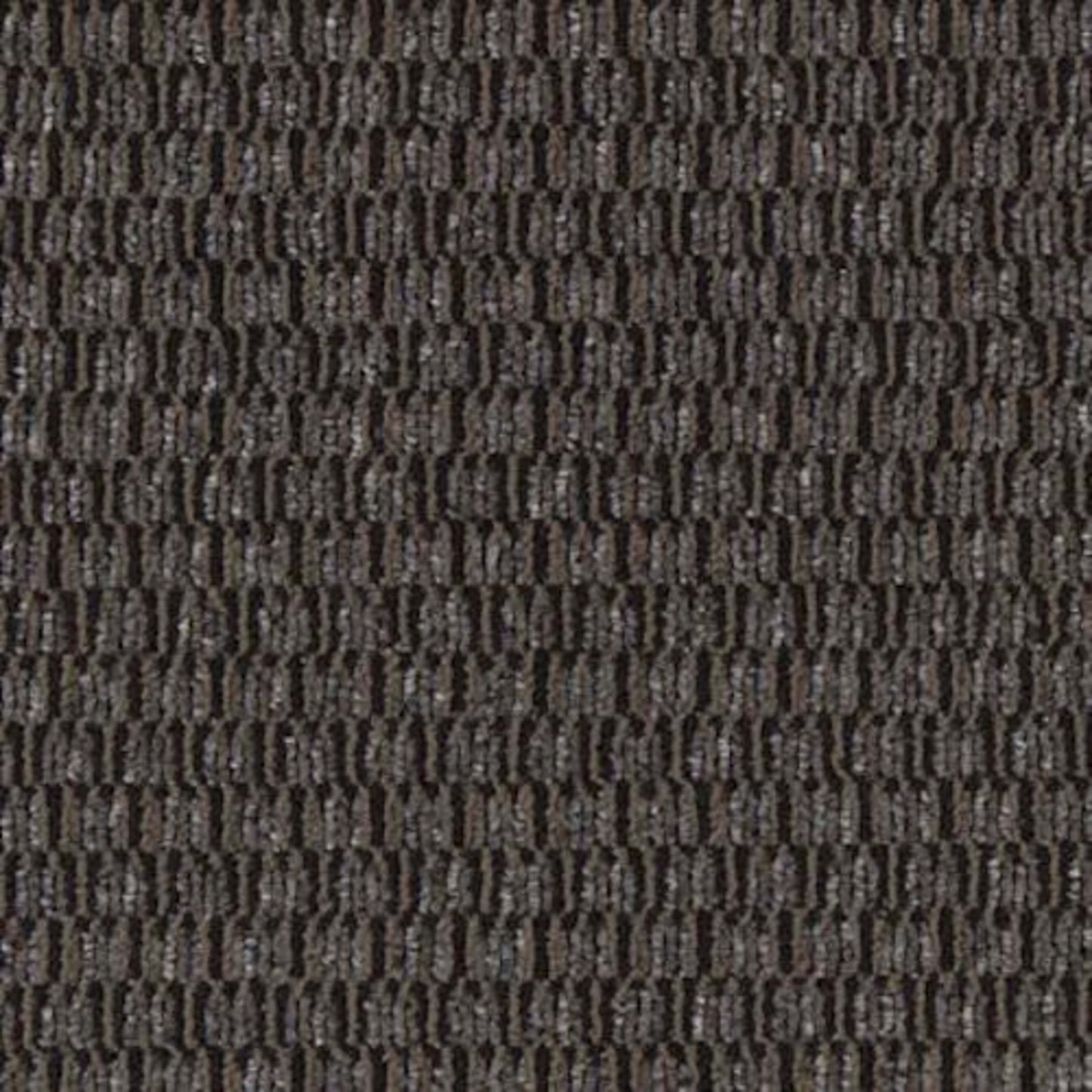 Smart & Sharp in Smile Often Carpet