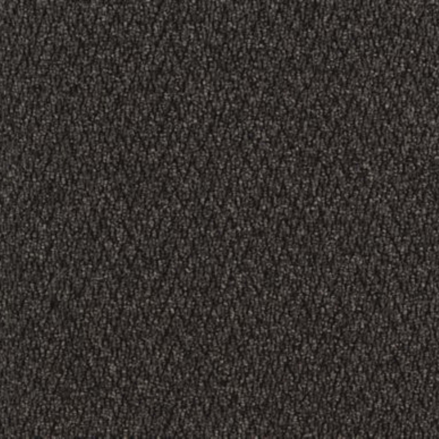Walk The Walk in Iron Ore Carpet Tile
