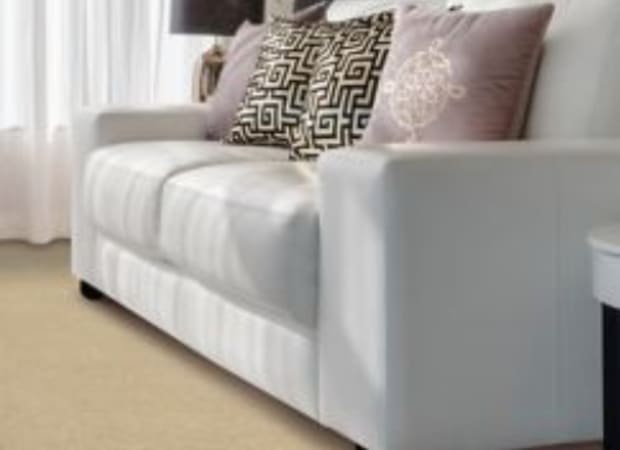 Carefree Nature in Garden Club