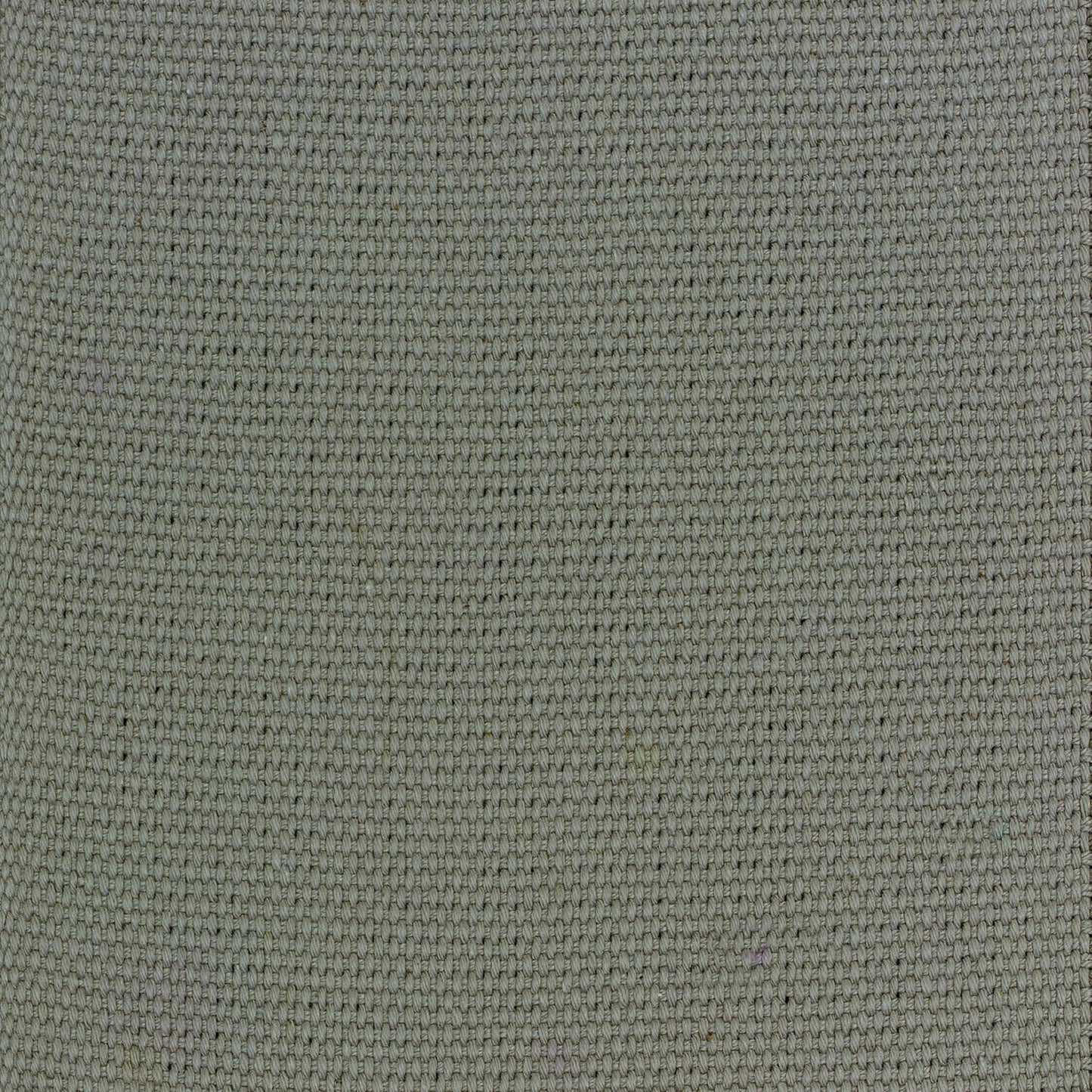 Cotton Straight 5" in Pebble Carpet
