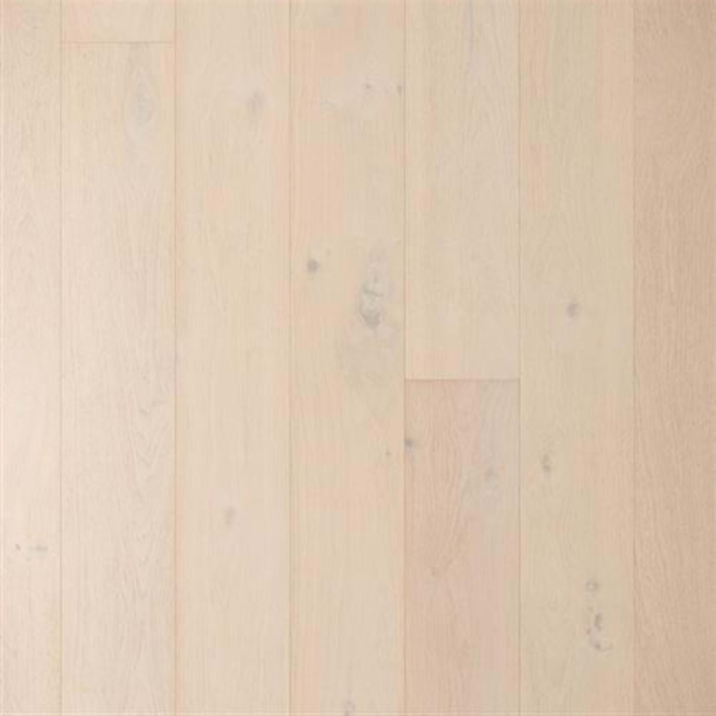 Tempo in Frozen Lake Hardwood