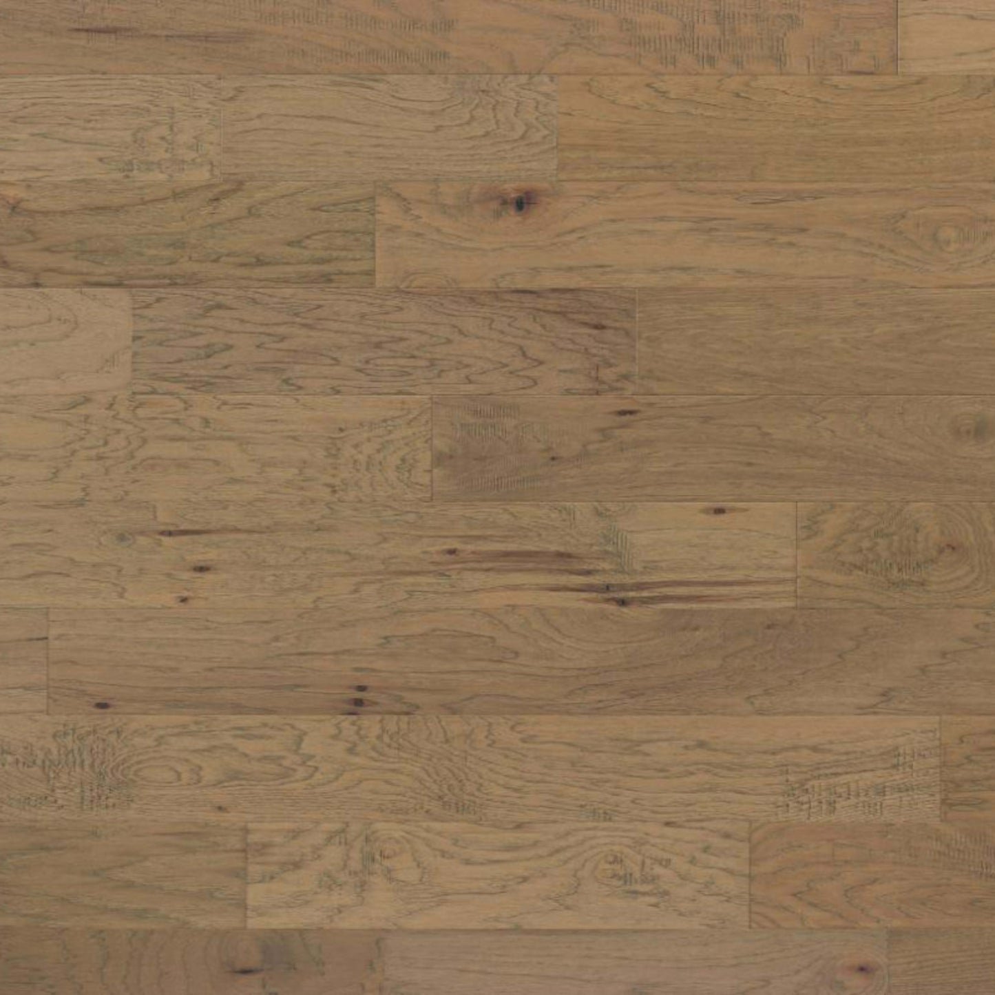 Lantana in Davy Lamp Hardwood