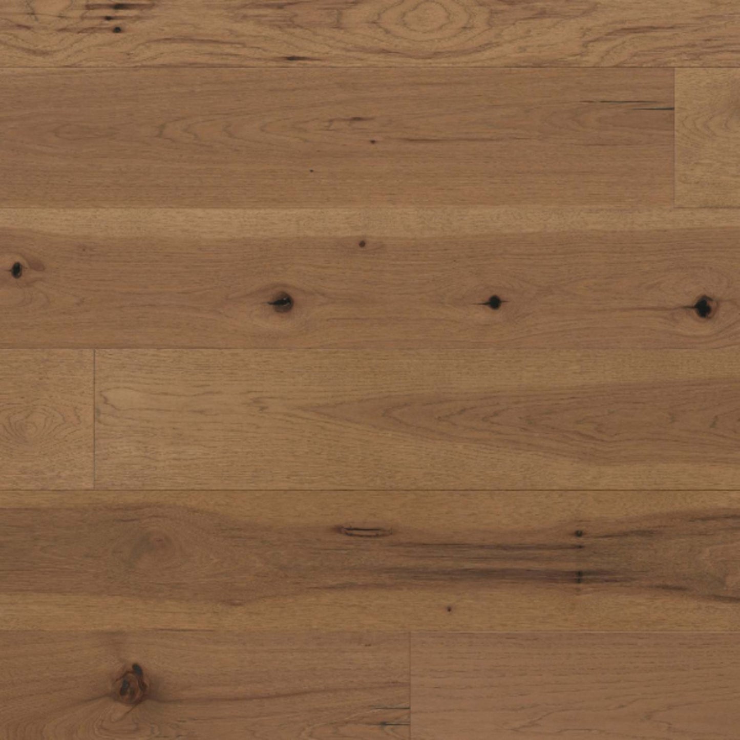 Tempo in Neroli Hardwood