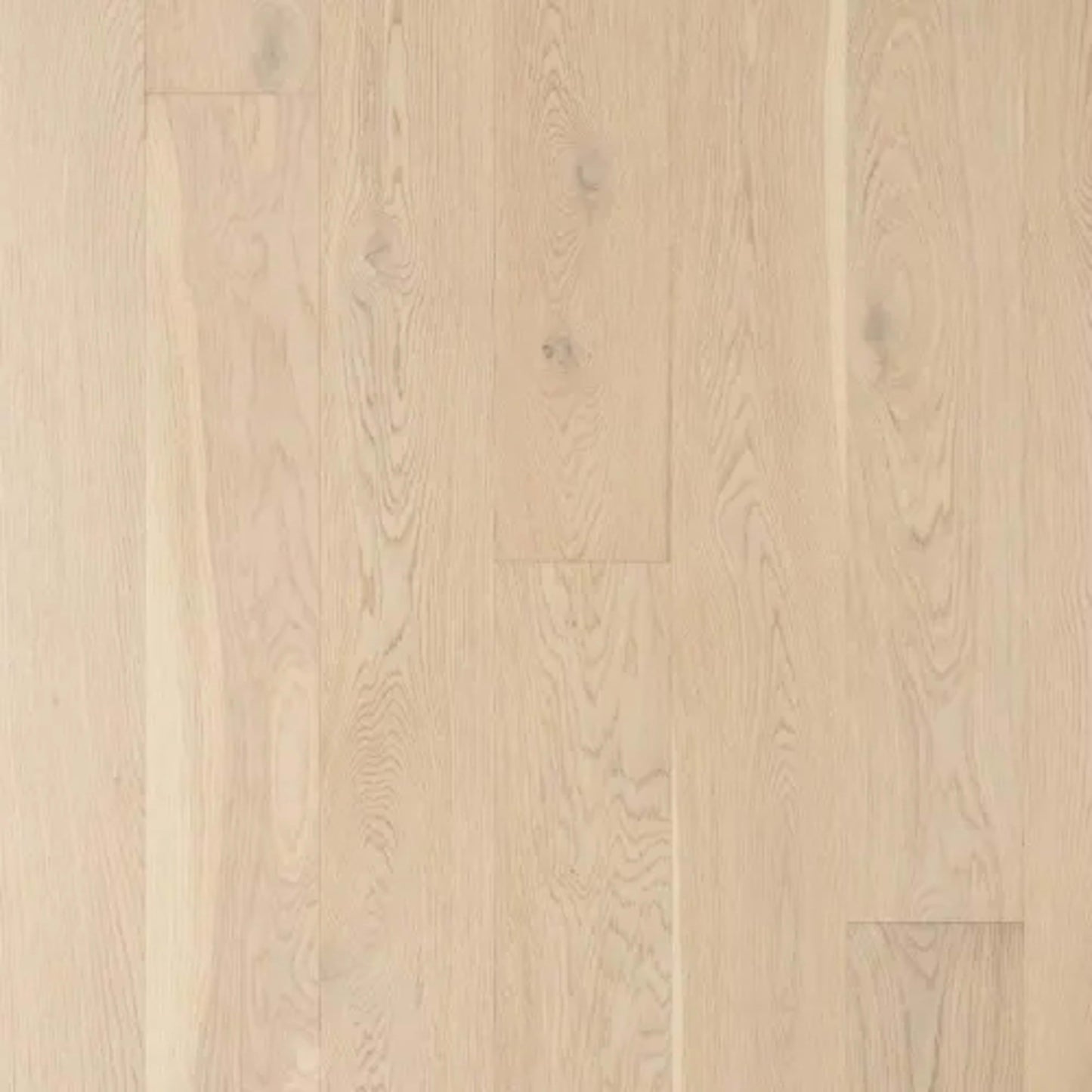 Tempo in Brushed Oak White Sand Hardwood