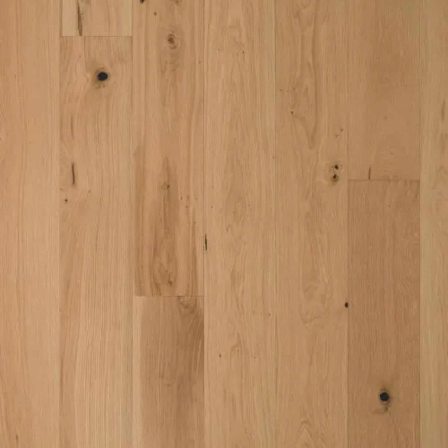 Tempo in Brushed Oak Natural Hardwood