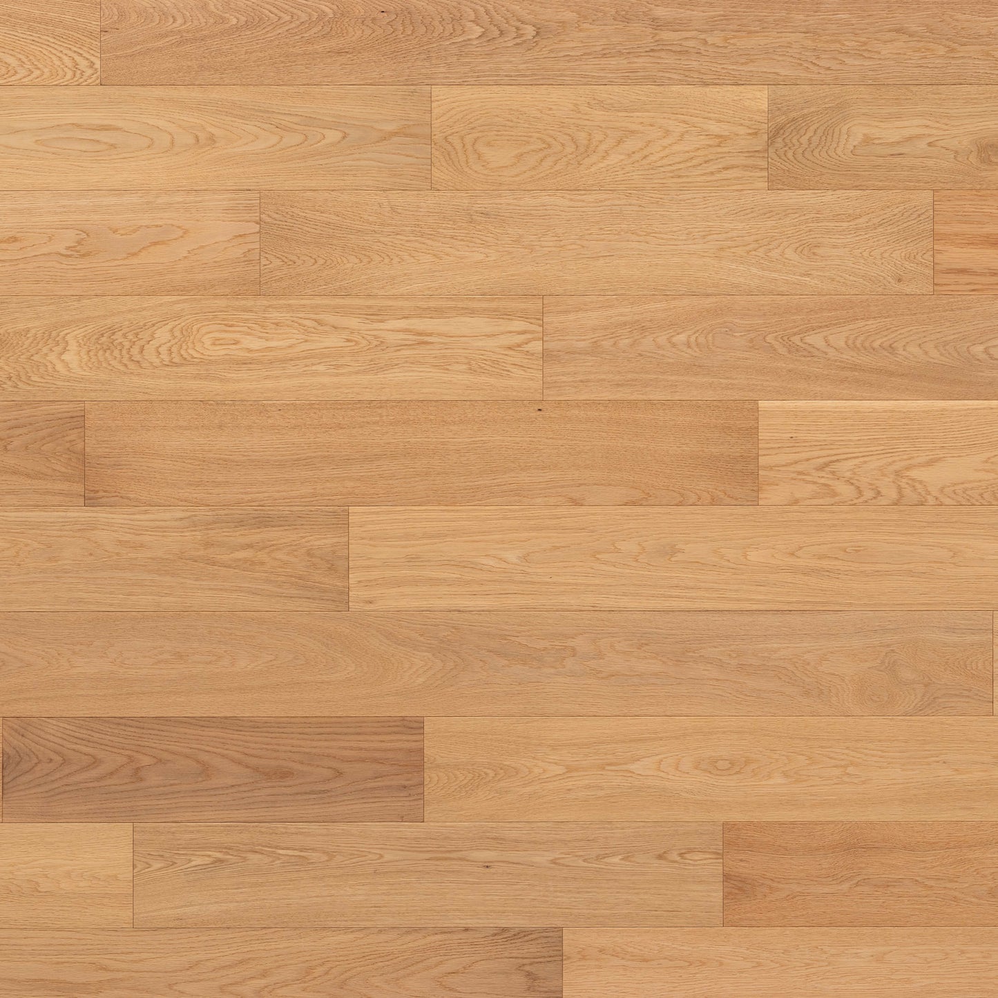 Abode by Kentwood: Dwell in Morning Sun Hardwood