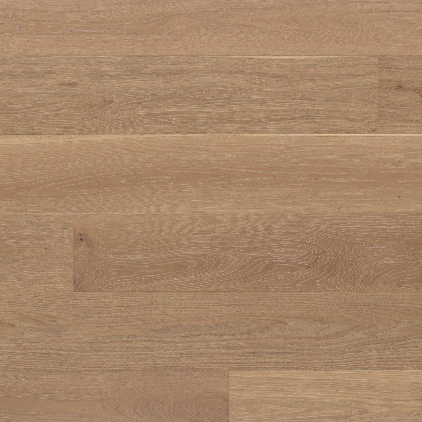 Kentwood Collection: Desertscape in Playa Hardwood