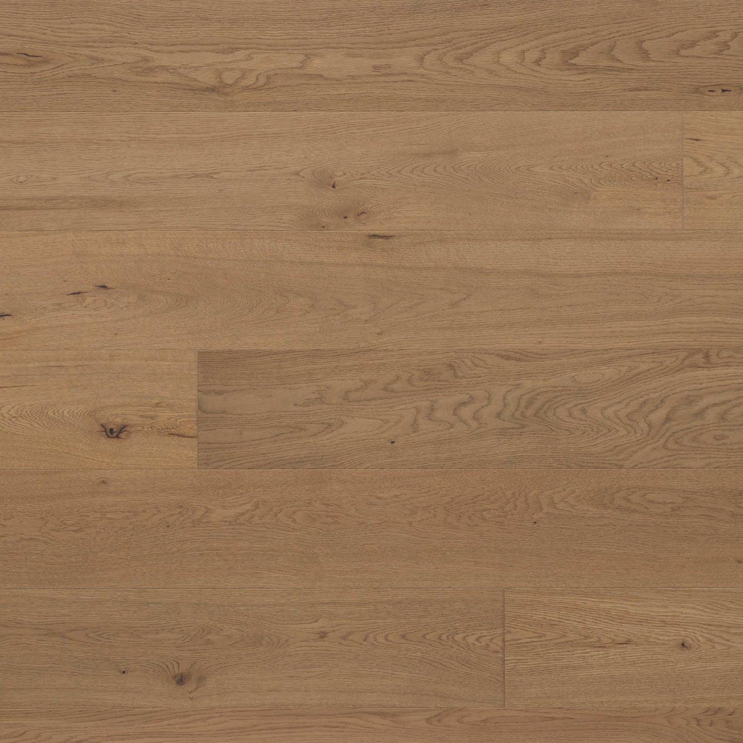 Abode by Kentwood: Tempo in Sandalwood Hardwood