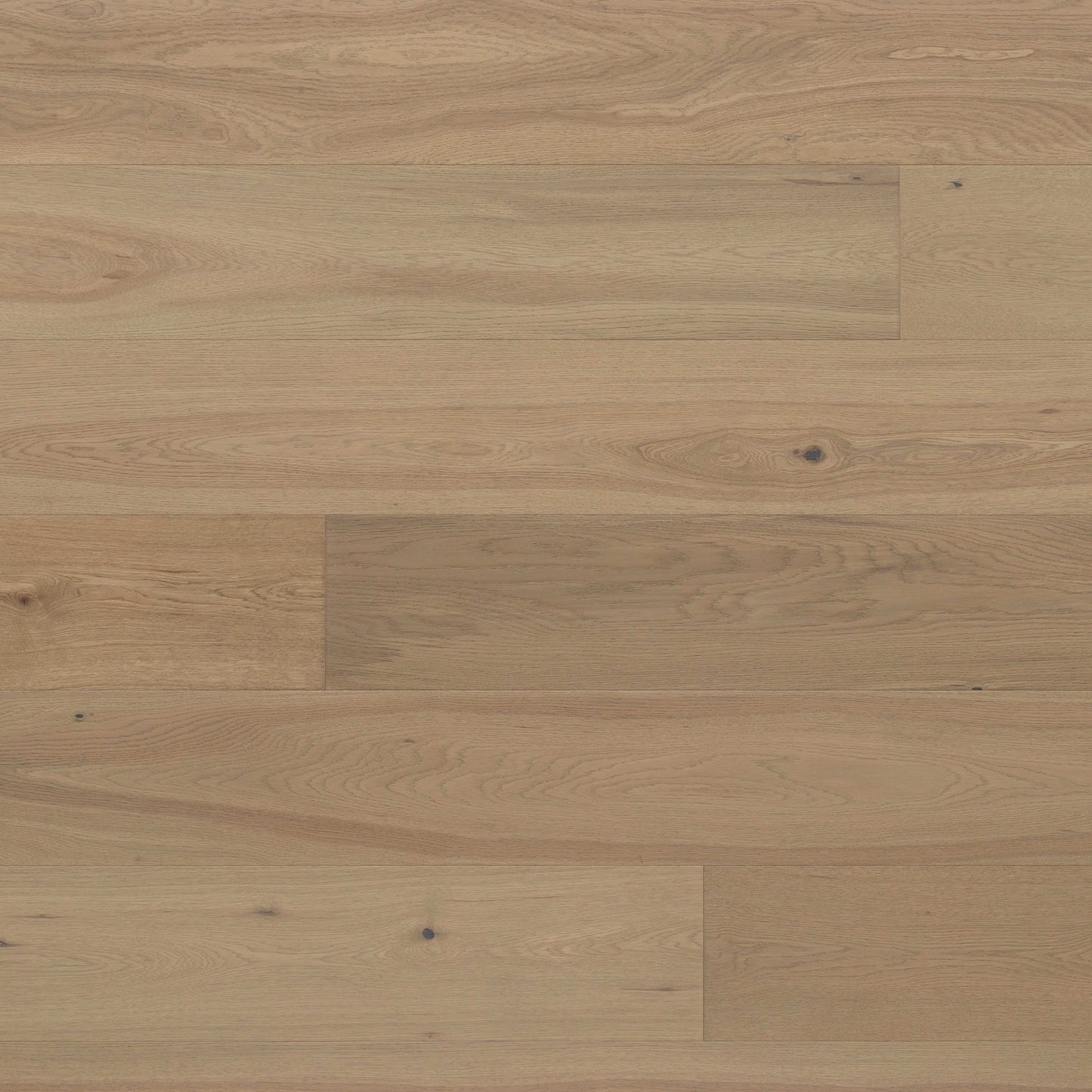 Abode by Kentwood: Tempo in Clove Hardwood