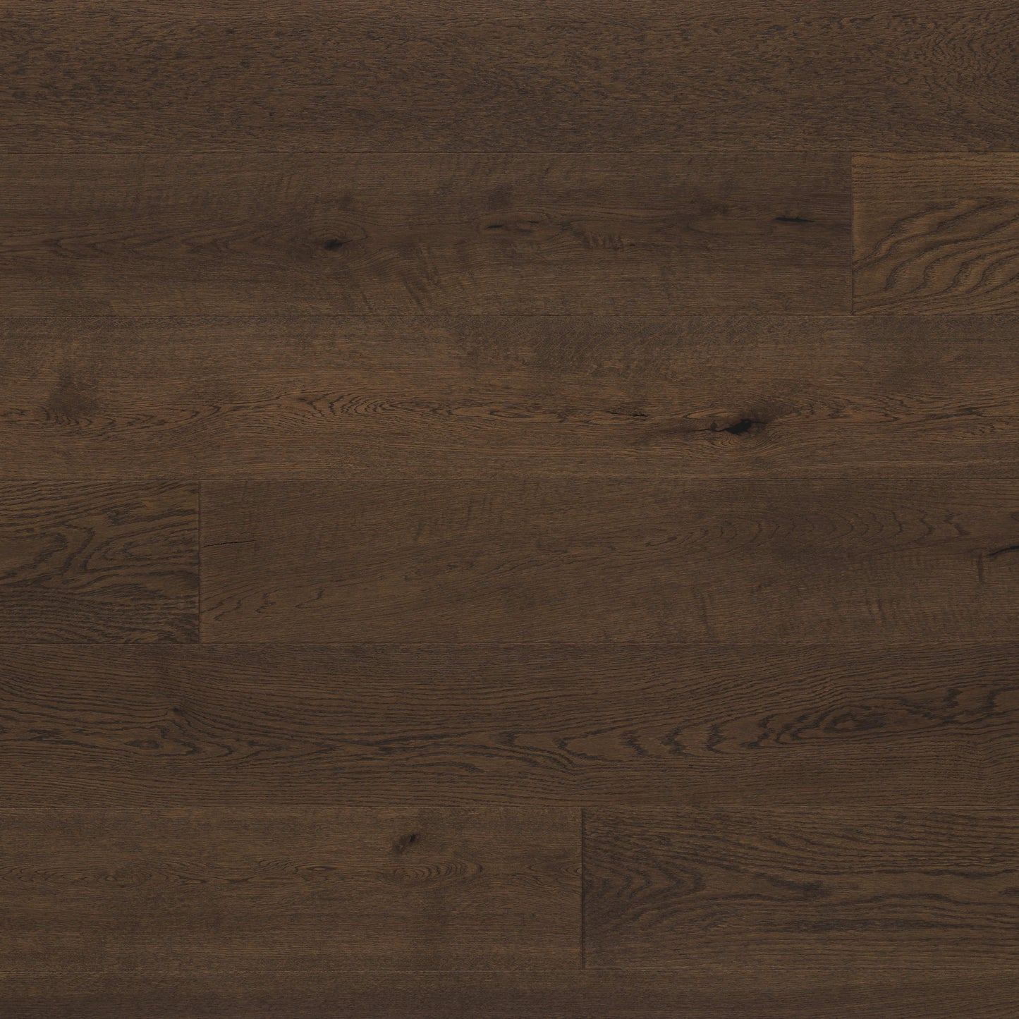 Abode by Kentwood: Tempo in Chocolate Hardwood