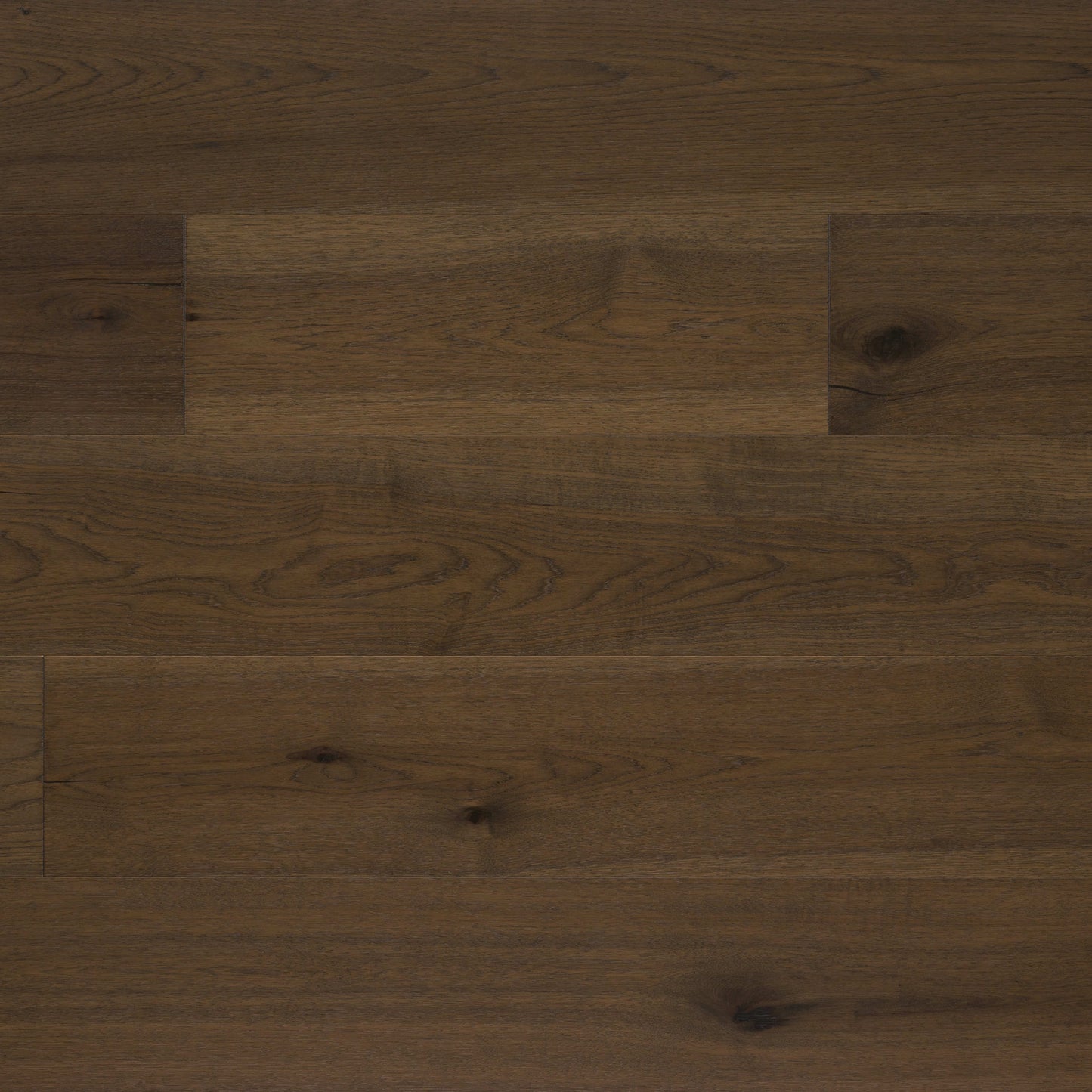 Kentwood Collection: Hometown East in Belair Drive Hardwood