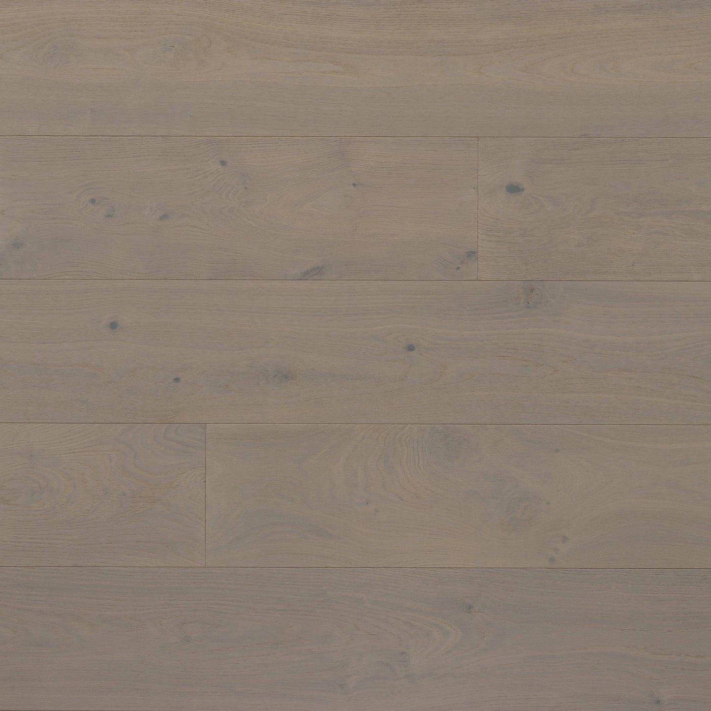 Kentwood Collection: Landmark South in Eagle Plume Hardwood