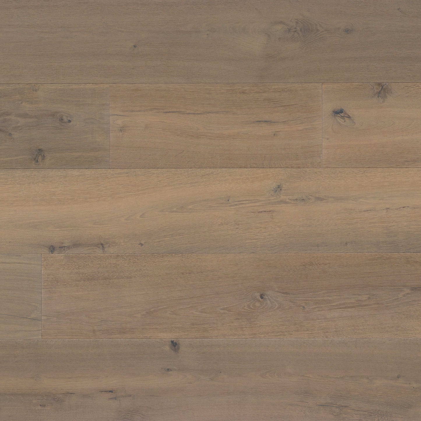 Kentwood Collection: Landmark North in Ink Pots Hardwood