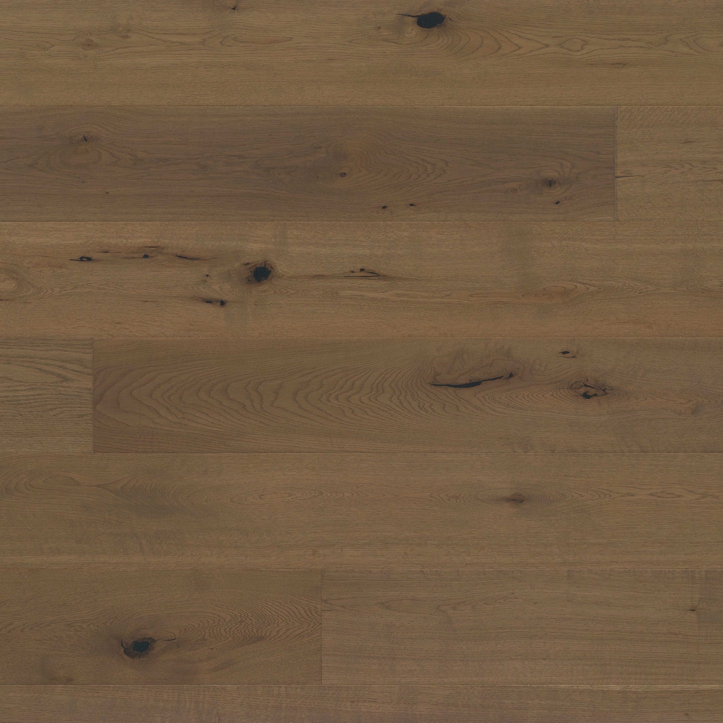 Kentwood Collection: Muse in Tableau Hardwood