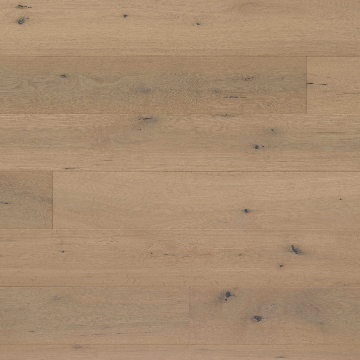 Kentwood Collection: Muse in Sketch Hardwood