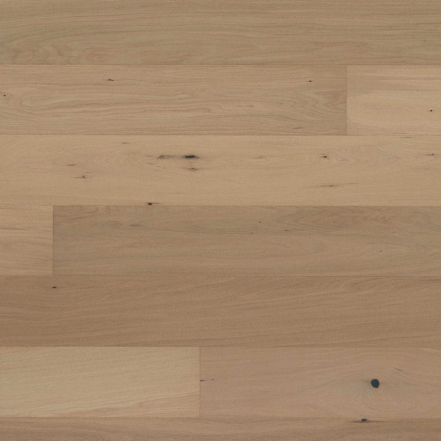 Abode by Kentwood: Tempo in Anise Hardwood